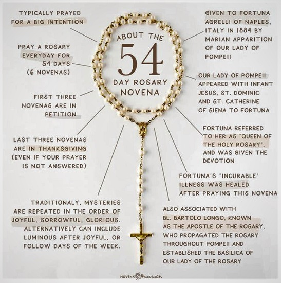 54-Day Rosary Novena This infographic shows how to pray the 54-Day Rosary Novena.
